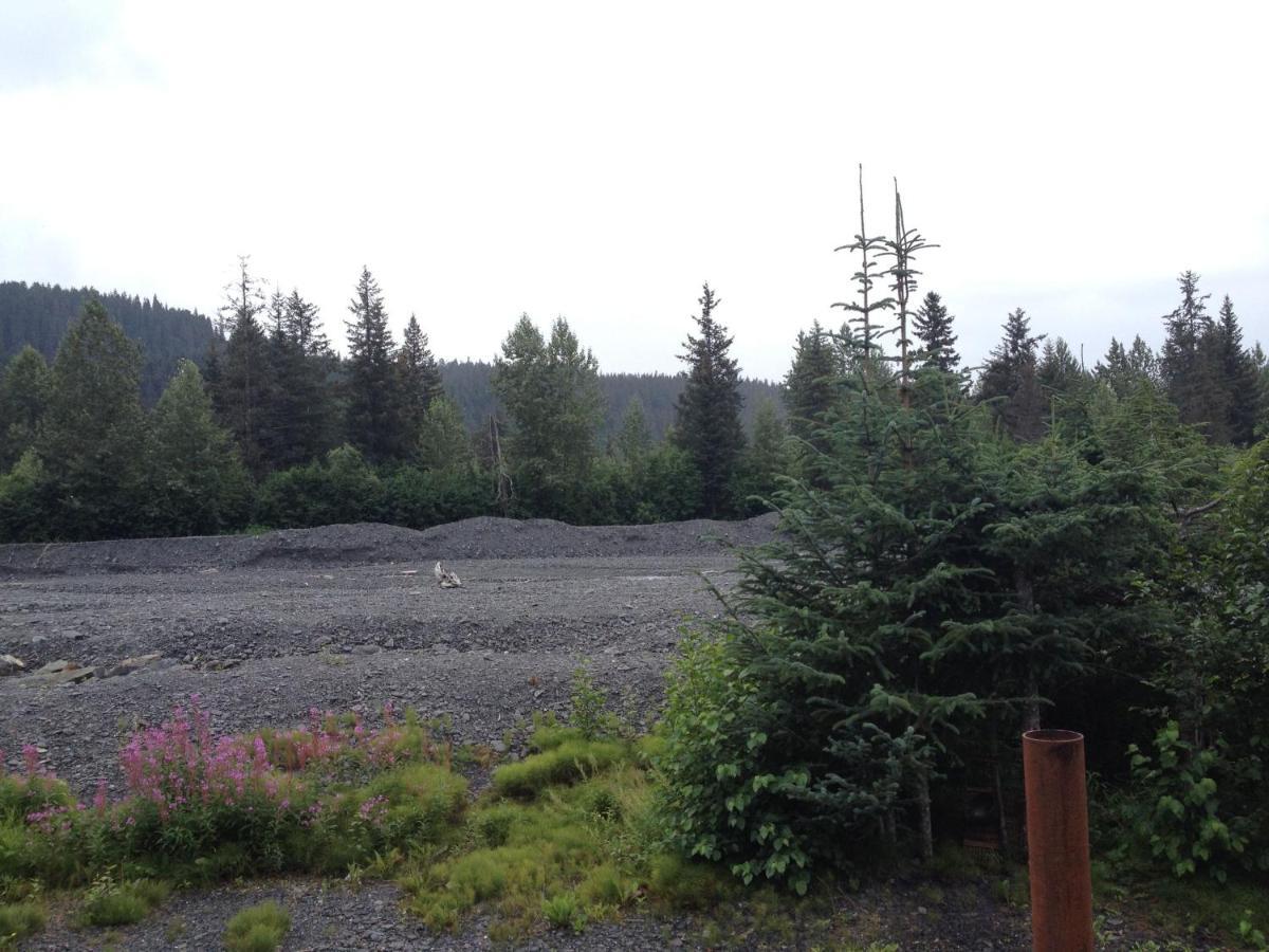 Glacier Creek Cabins Seward Ruang foto